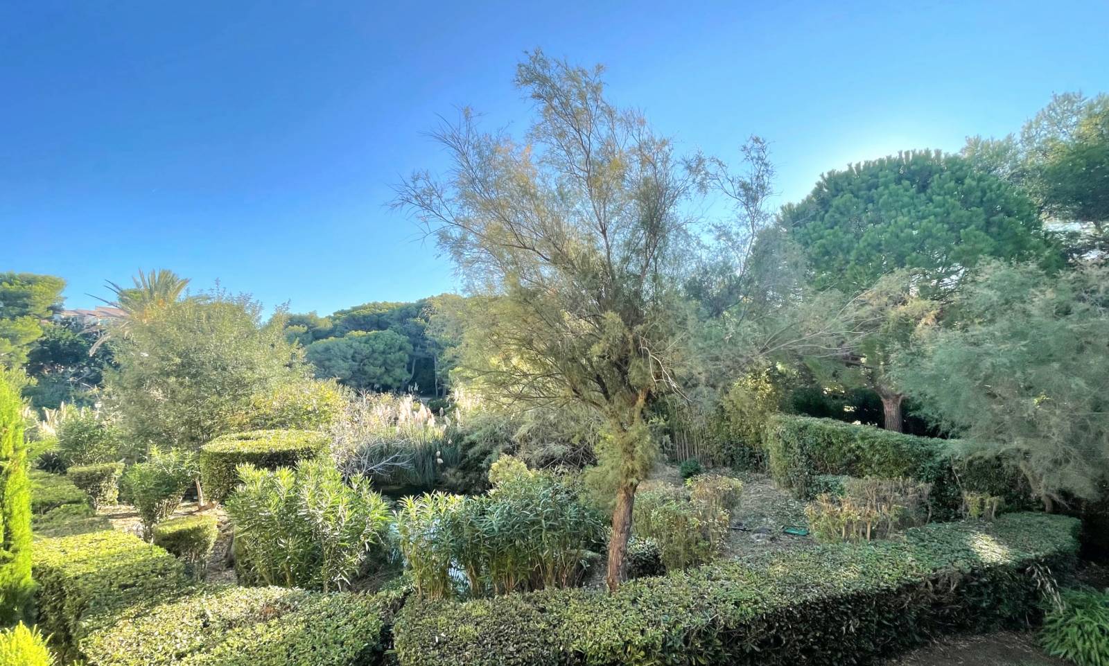 Appartement 2 pièces avec terrasse à vendre au Domaine de la Coudoulière à Six-Fours