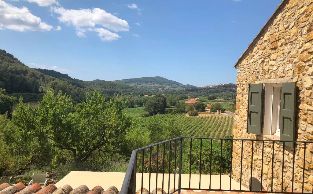 Mas en pierre du XIXème siècle avec vue sur les vignes