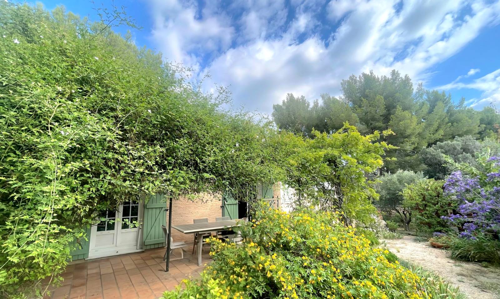 Villa de plain-pied avec jardin arboré en vente immobilière sur le secteur du Vieux Mas à La Ciotat