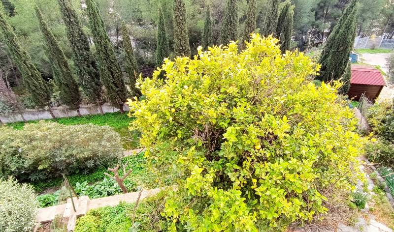 Maison familiale avec garage et jardin à vendre par agence immobilière à Ollioules