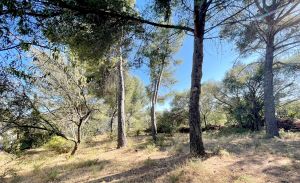 Notre zone d'activité pour ce service Vente terrain constructible viabilisé avec vue Ollioules dans le Var