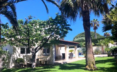 Nos prestations sur le secteur de Bandol