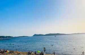 Nos prestations sur le secteur de Sanary-sur-Mer