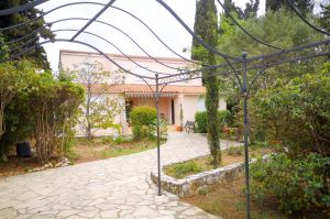 Nos prestations sur le secteur de Saint-Cyr-sur-Mer