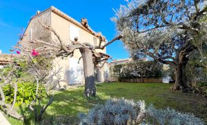 Nos prestations sur le secteur de Bandol